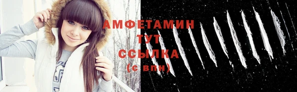 спиды Абаза