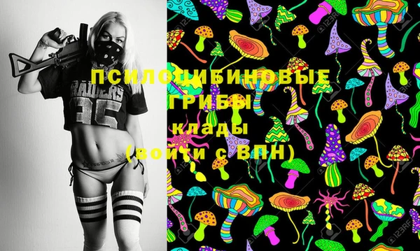 дмт Абинск
